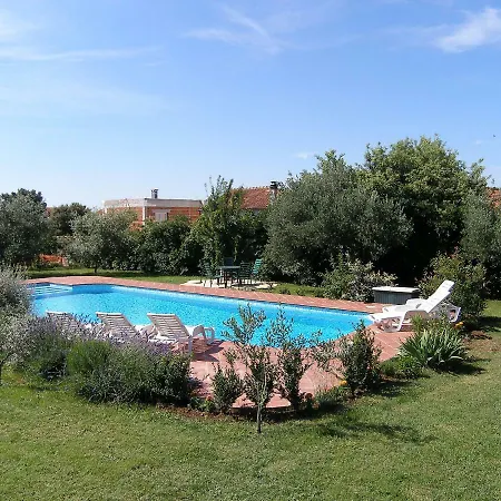 Yellow House By Interhome Vila Zadar